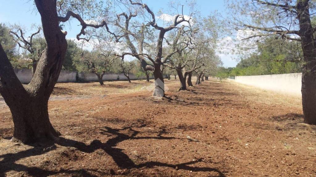 immagine annuncio 8 di 11