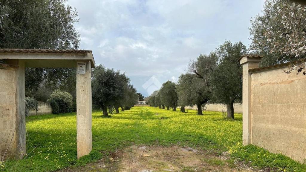 immagine annuncio 9 di 11