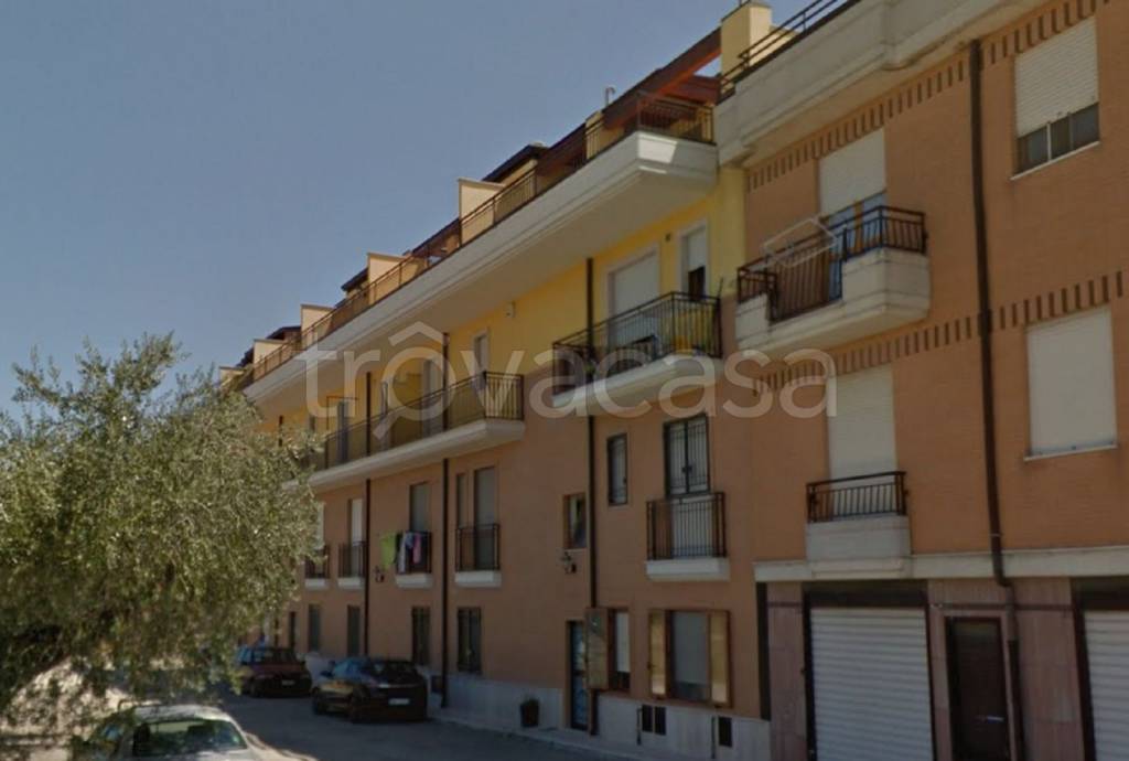 immagine annuncio 11 di 13