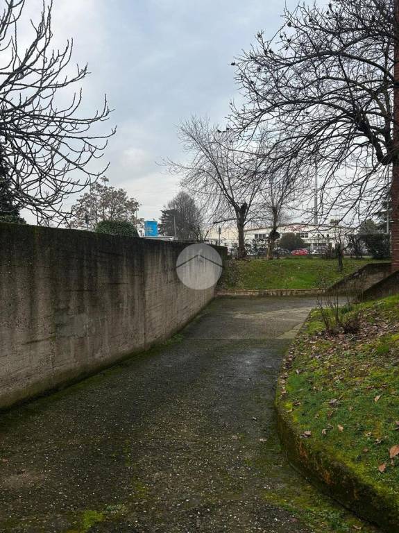 immagine annuncio 7 di 14