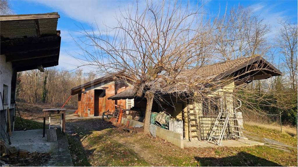 immagine annuncio 8 di 15