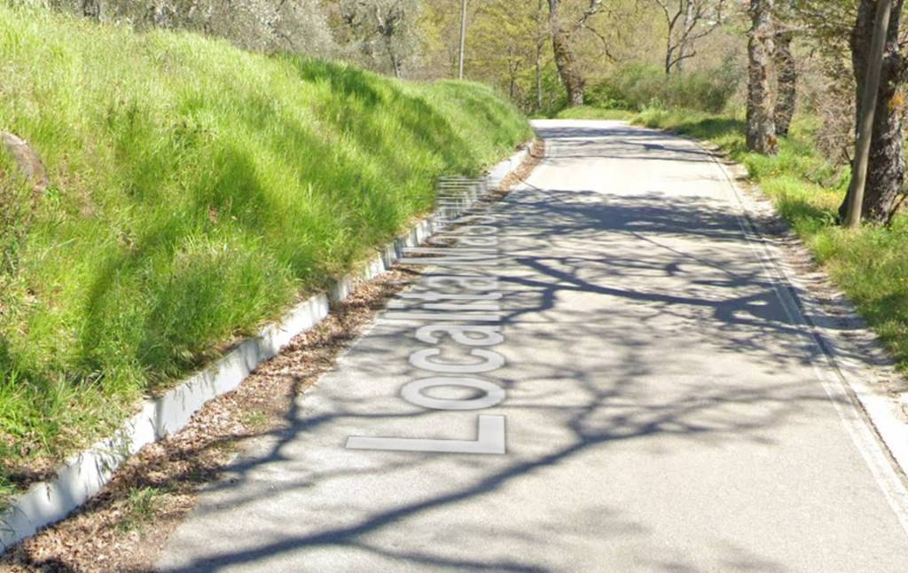 immagine annuncio 9 di 11