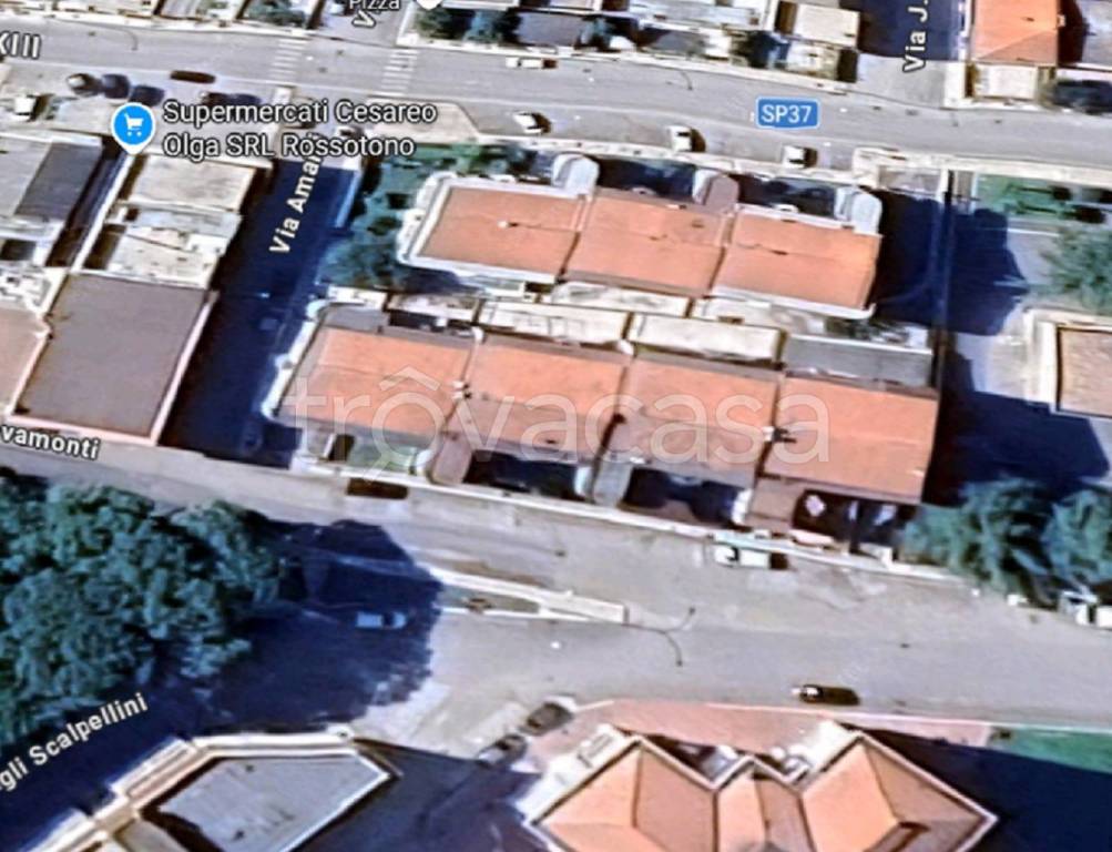 immagine annuncio 9 di 11