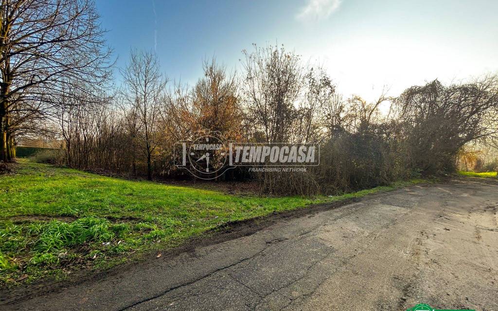 immagine annuncio 2 di 13