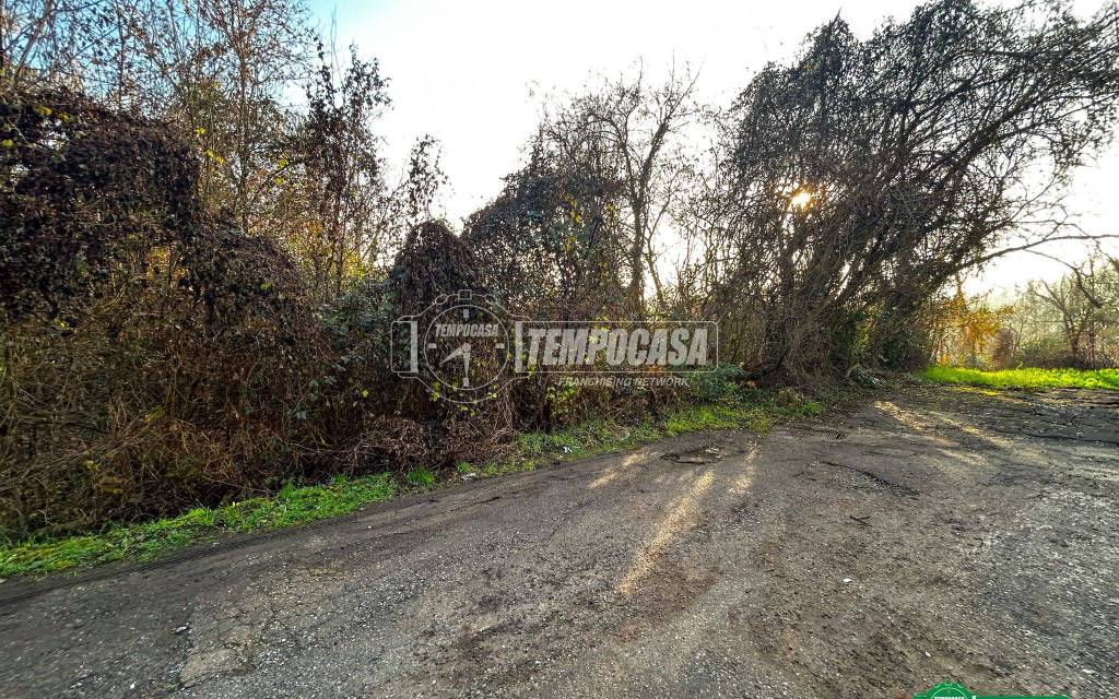 immagine annuncio 4 di 13