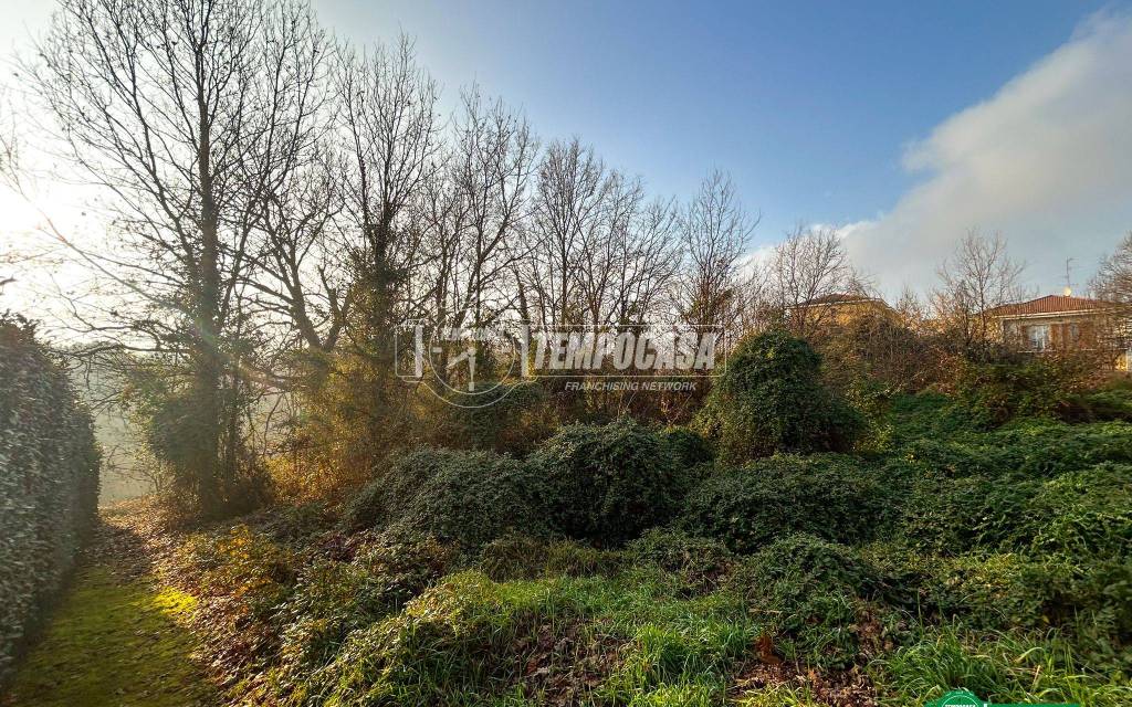 immagine annuncio 9 di 13