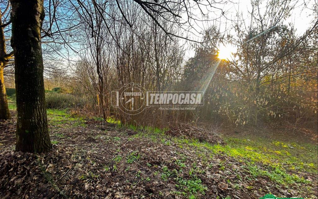 immagine annuncio 11 di 13