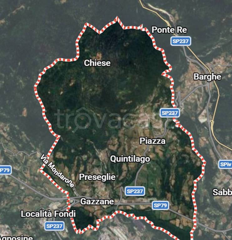 immagine annuncio 4 di 11