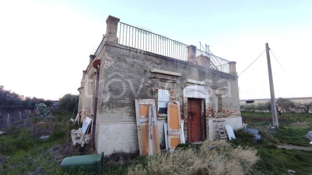 immagine annuncio 2 di 12