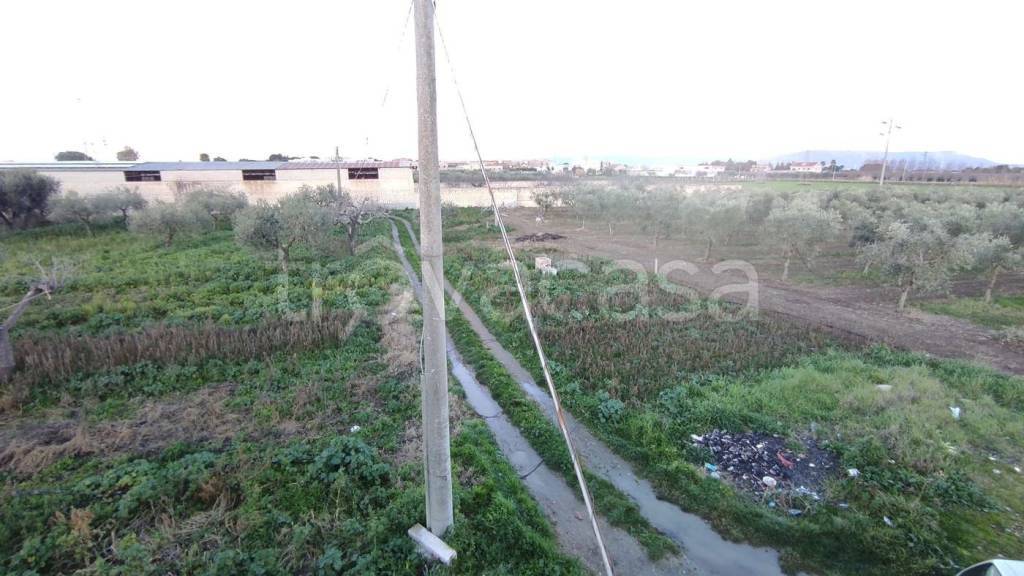 immagine annuncio 8 di 12