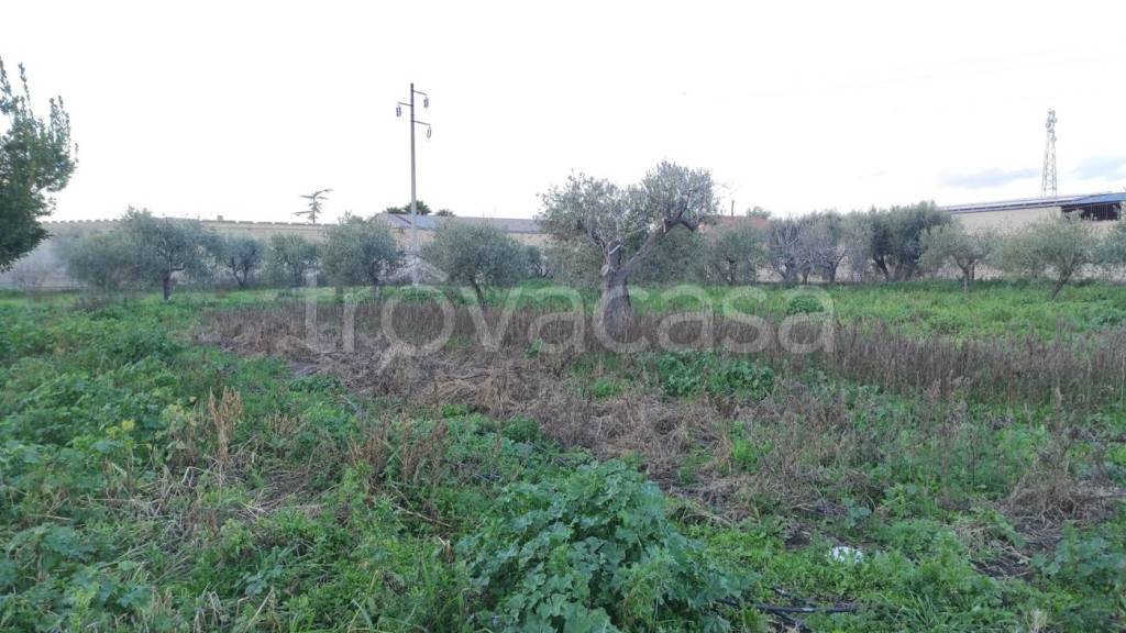 immagine annuncio 10 di 12