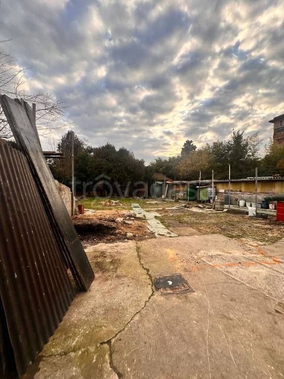 immagine annuncio 4 di 8