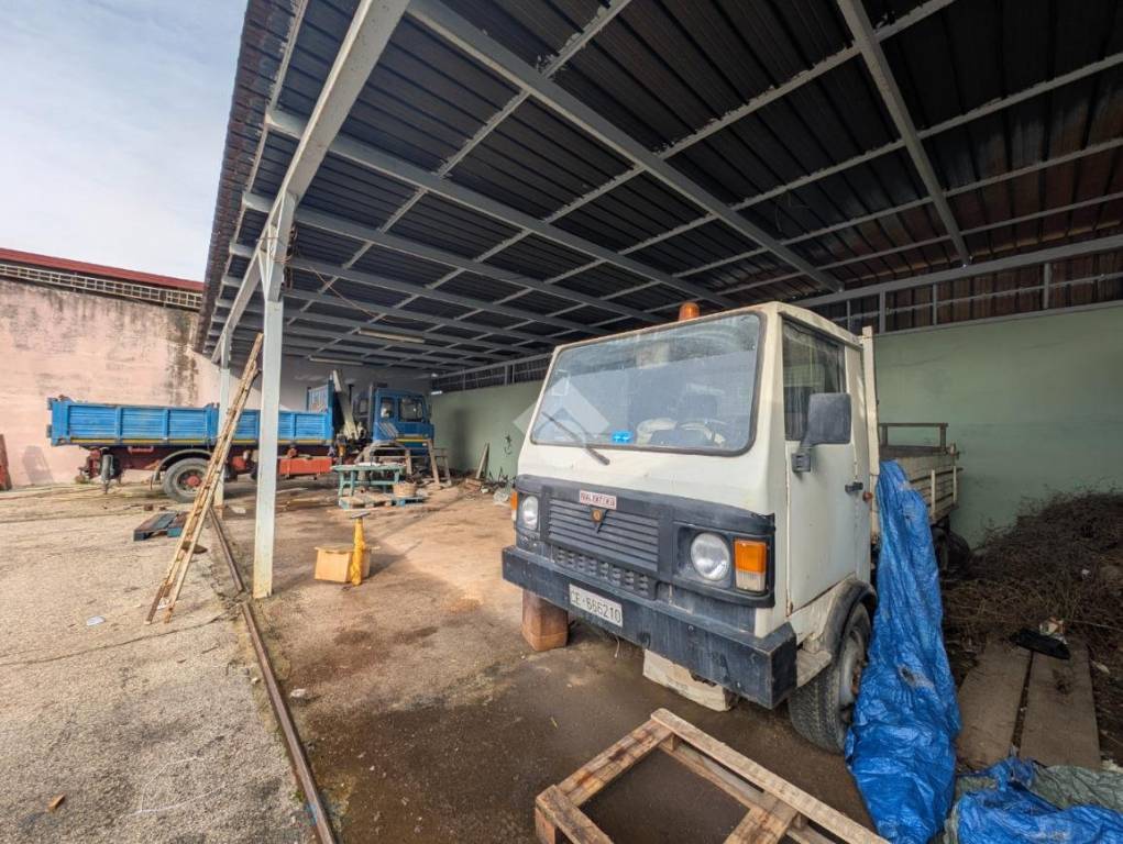 immagine annuncio 4 di 15