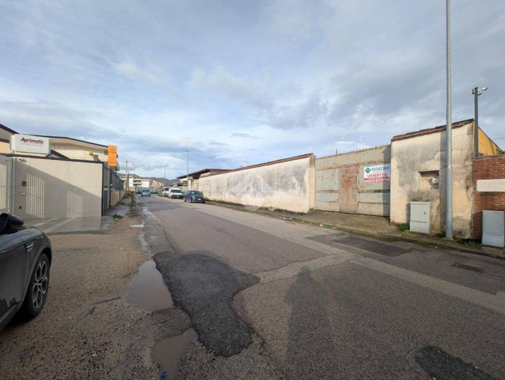 immagine annuncio 9 di 15