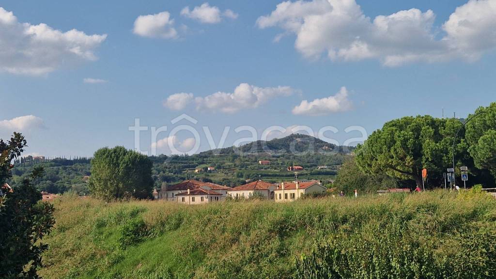 immagine annuncio 5 di 14