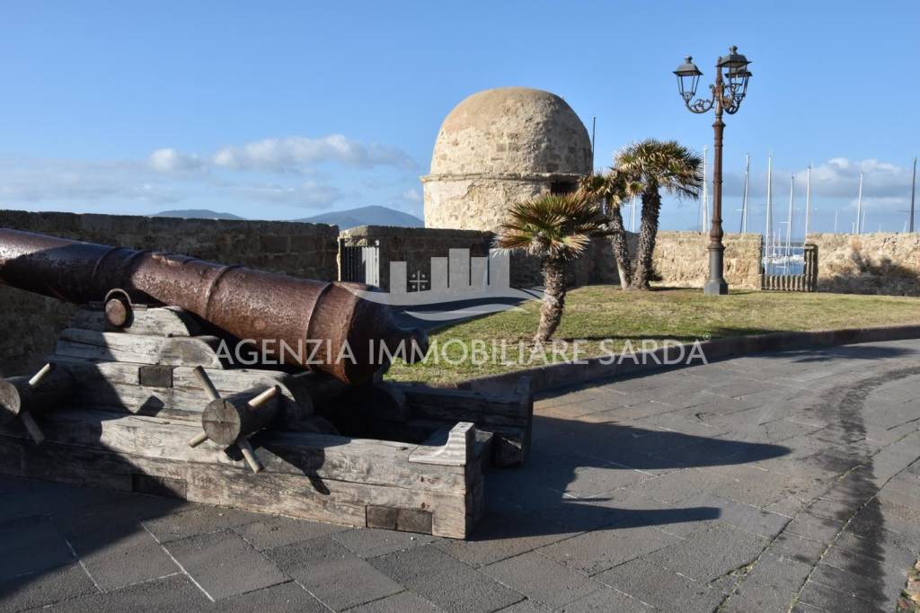 immagine annuncio 3 di 13