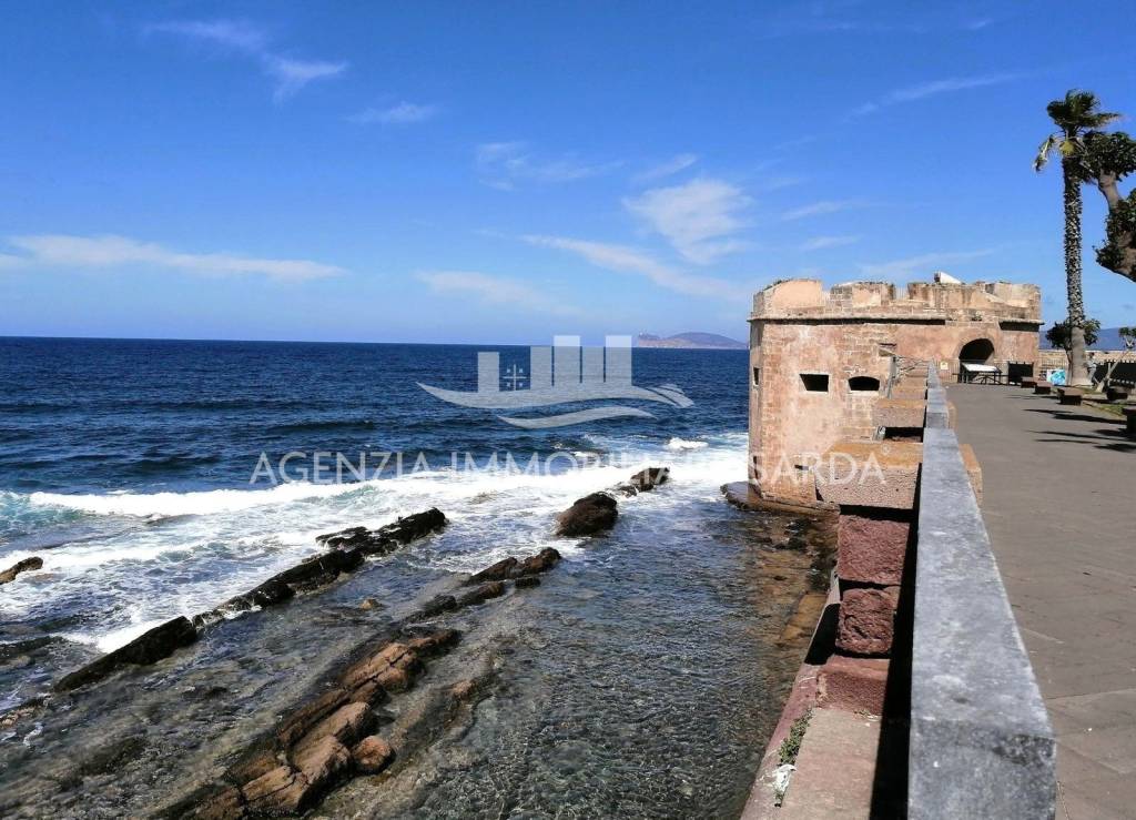 immagine annuncio 7 di 13