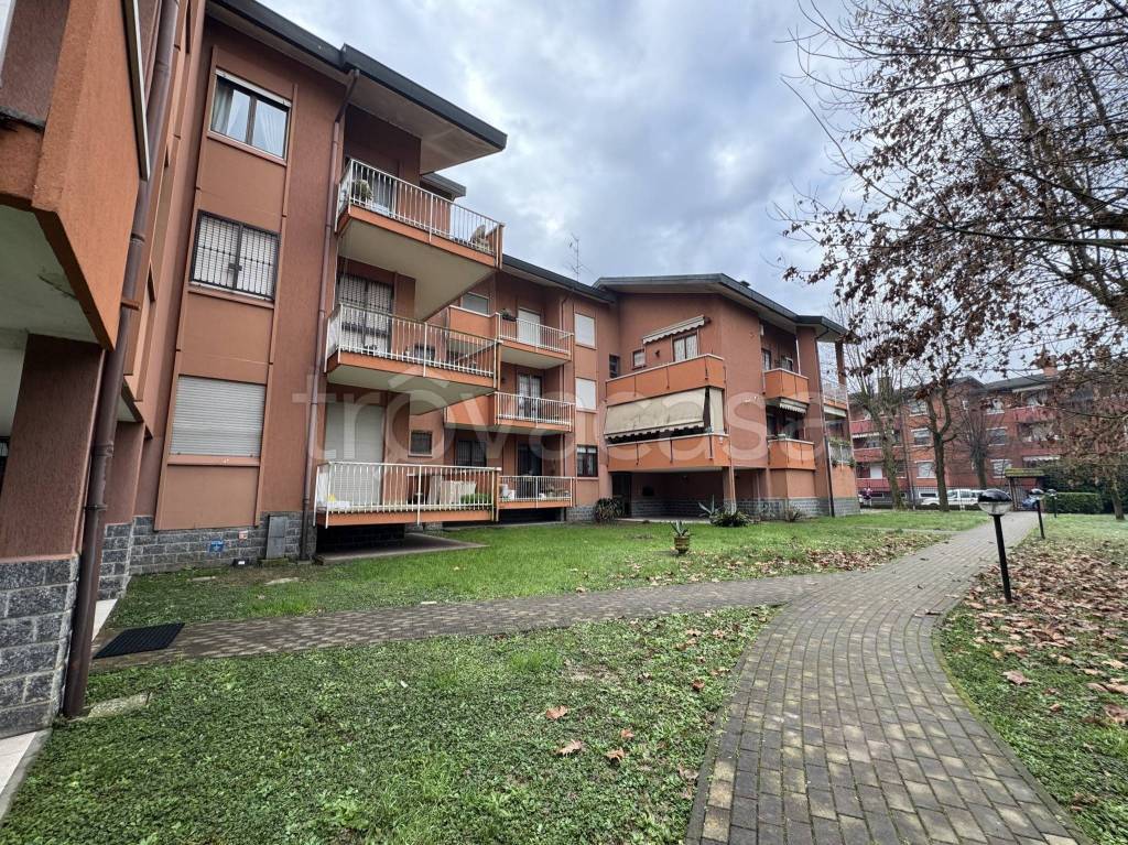 immagine annuncio 13 di 15