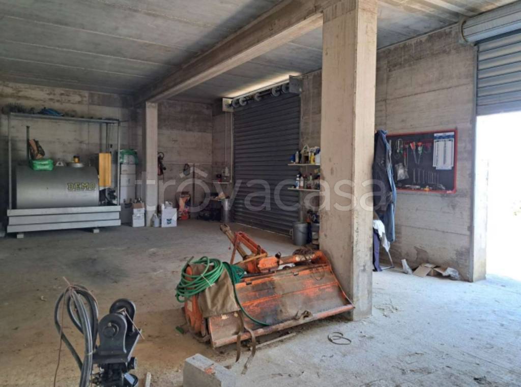 immagine annuncio 8 di 11