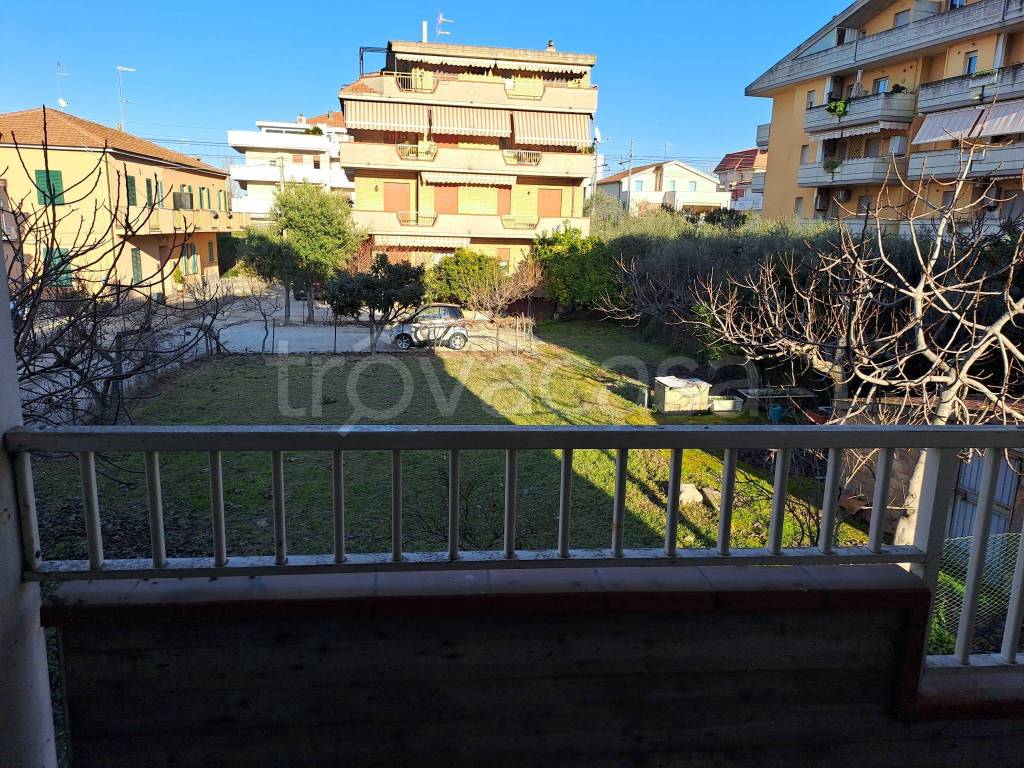 immagine annuncio 12 di 14