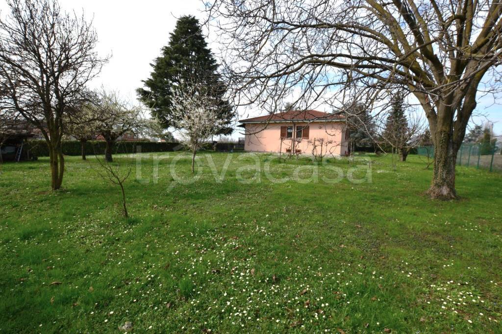 immagine annuncio 6 di 15