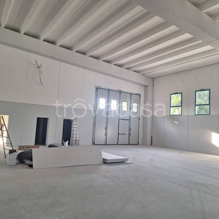 immagine annuncio 4 di 14