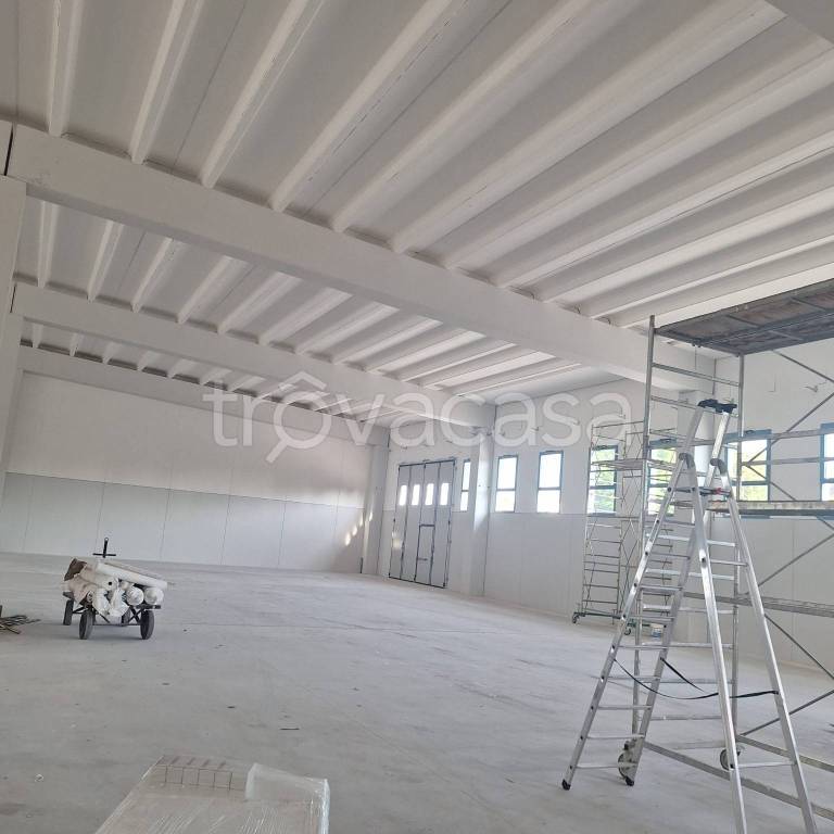 immagine annuncio 5 di 14