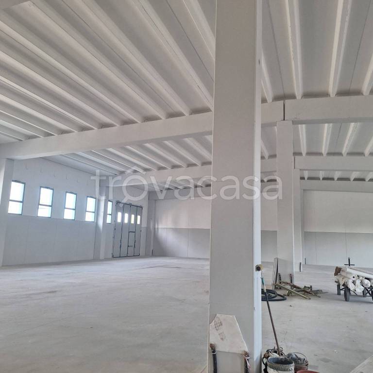 immagine annuncio 6 di 14