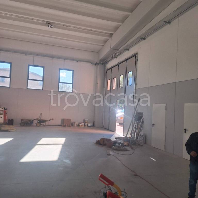 immagine annuncio 8 di 14