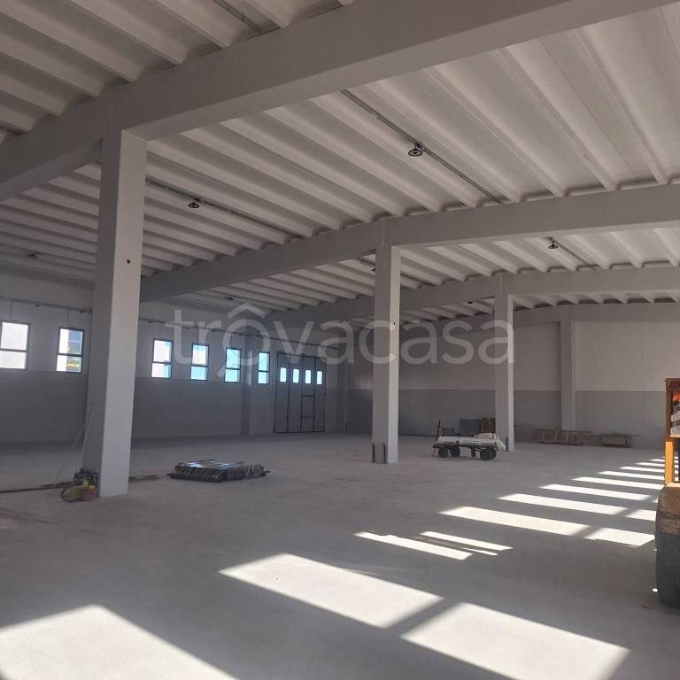 immagine annuncio 9 di 14