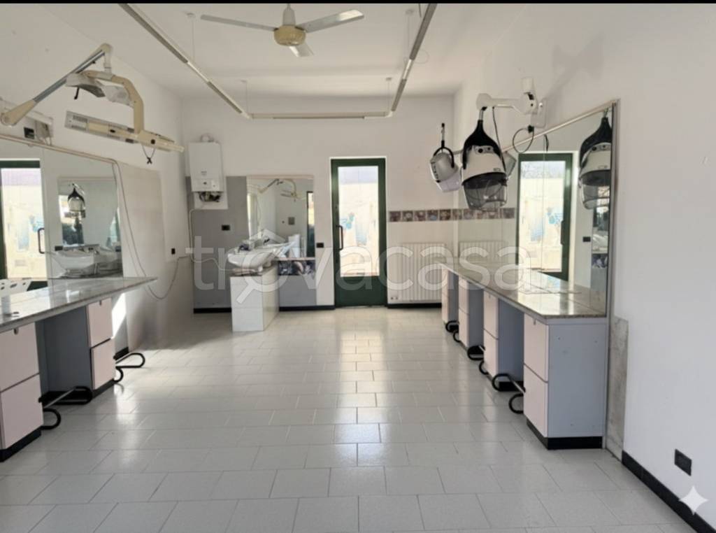 immagine annuncio 6 di 13