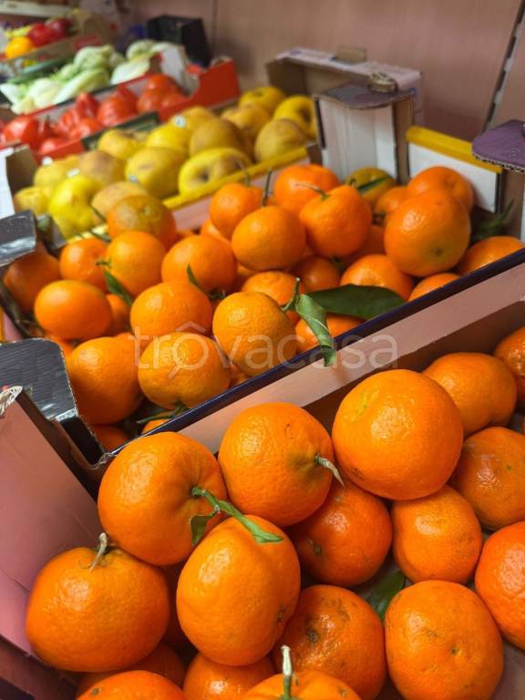 immagine annuncio 4 di 6