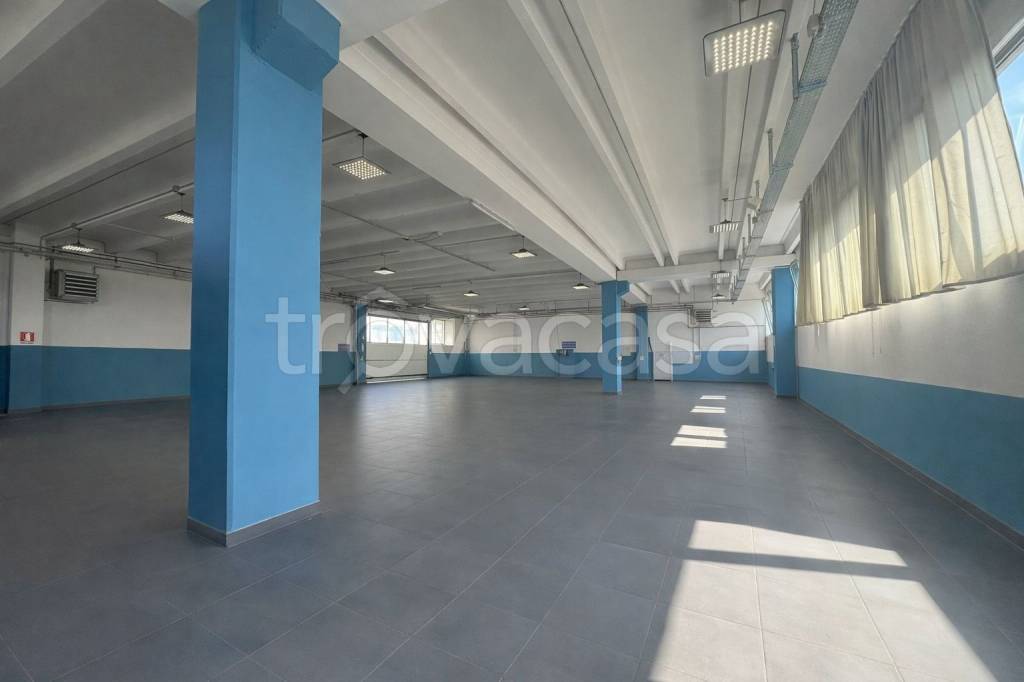 immagine annuncio 3 di 6