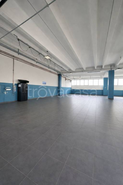 immagine annuncio 1 di 6