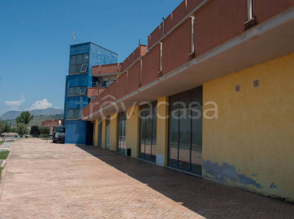 immagine annuncio 5 di 14