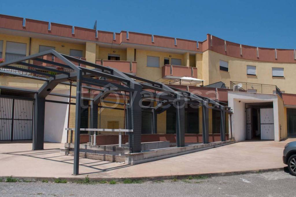 immagine annuncio 6 di 14