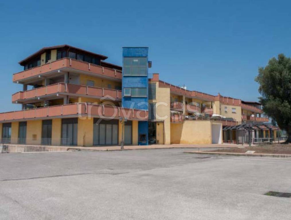 immagine annuncio 7 di 14