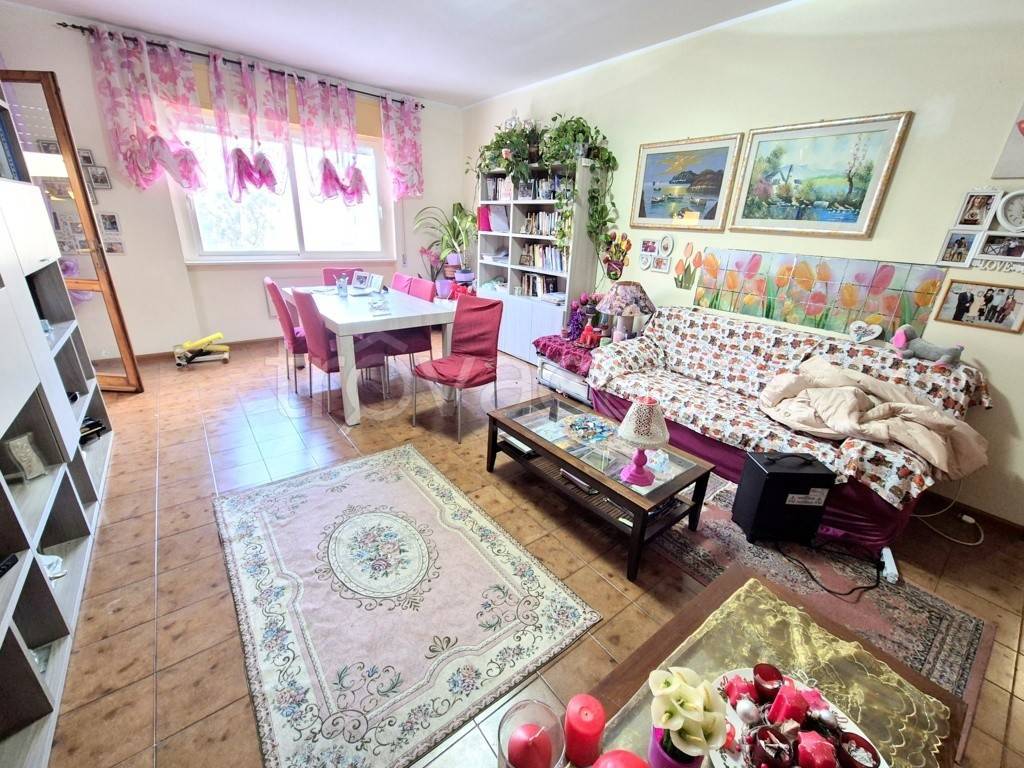 immagine annuncio 2 di 12