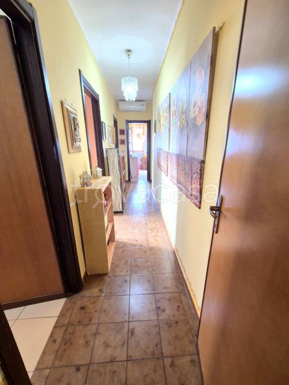 immagine annuncio 5 di 12