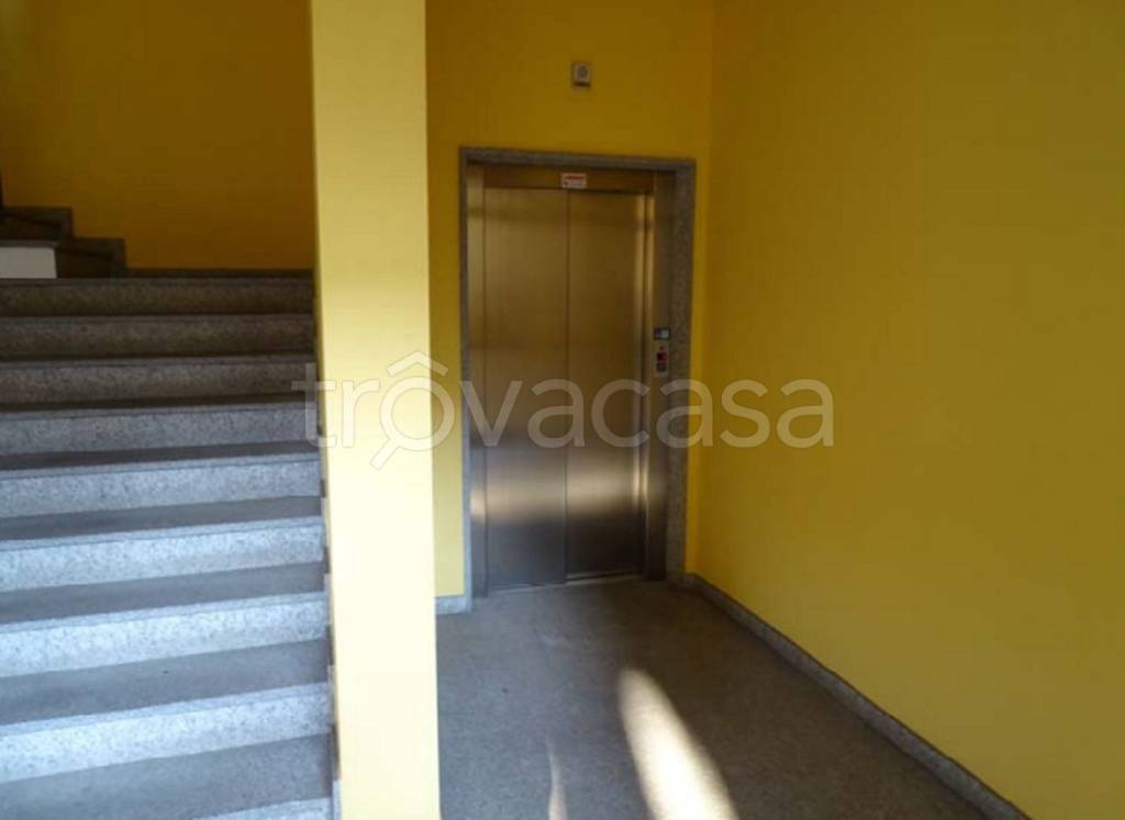 immagine annuncio 6 di 13