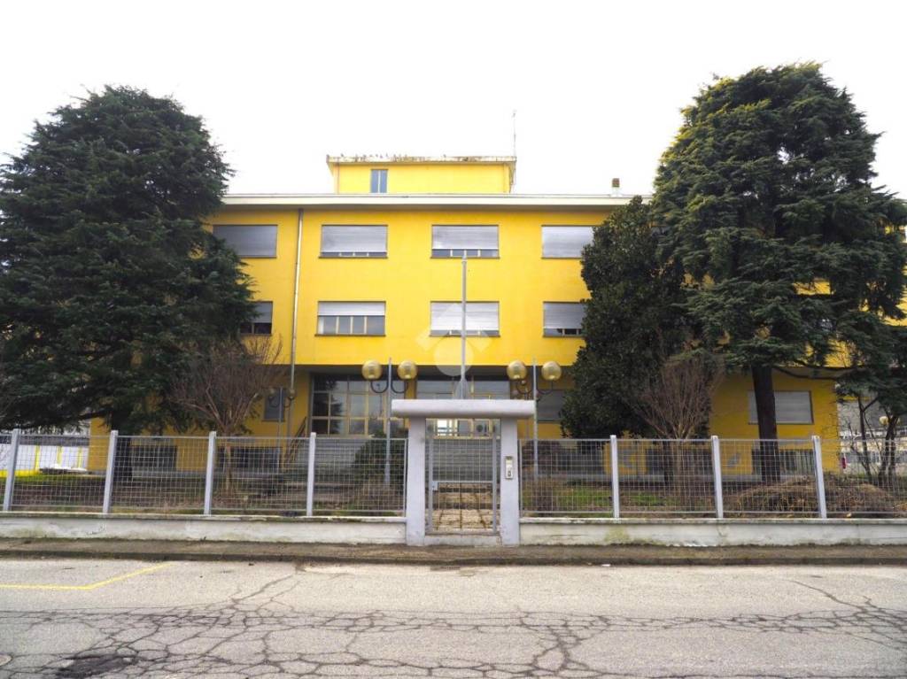 immagine annuncio 1 di 13