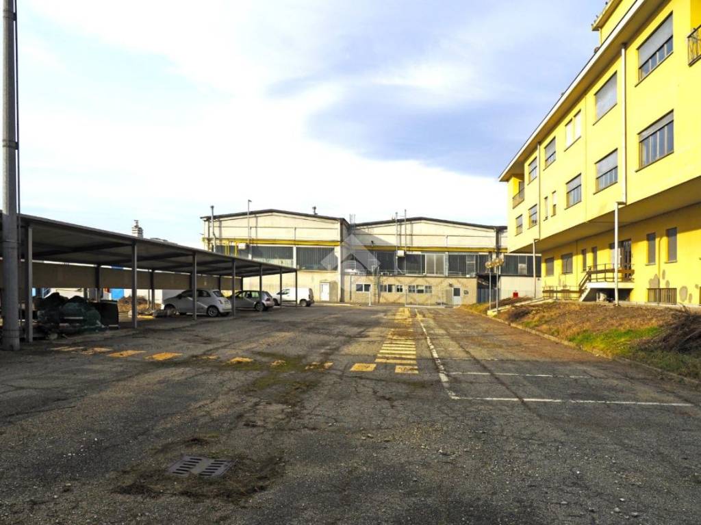 immagine annuncio 3 di 13