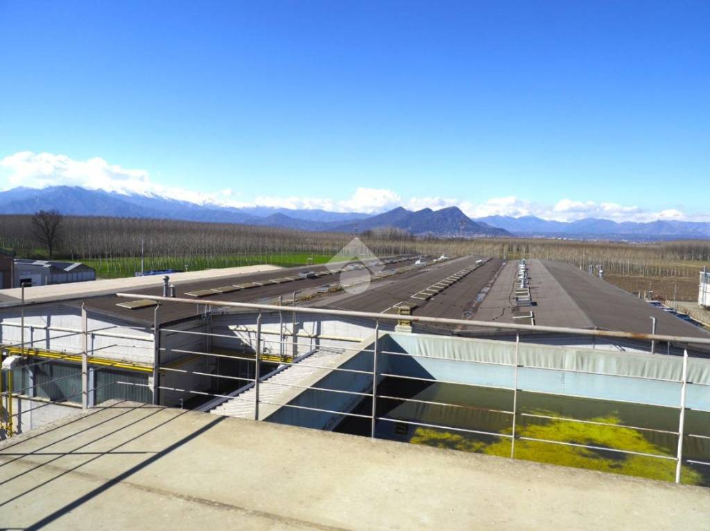 immagine annuncio 7 di 13