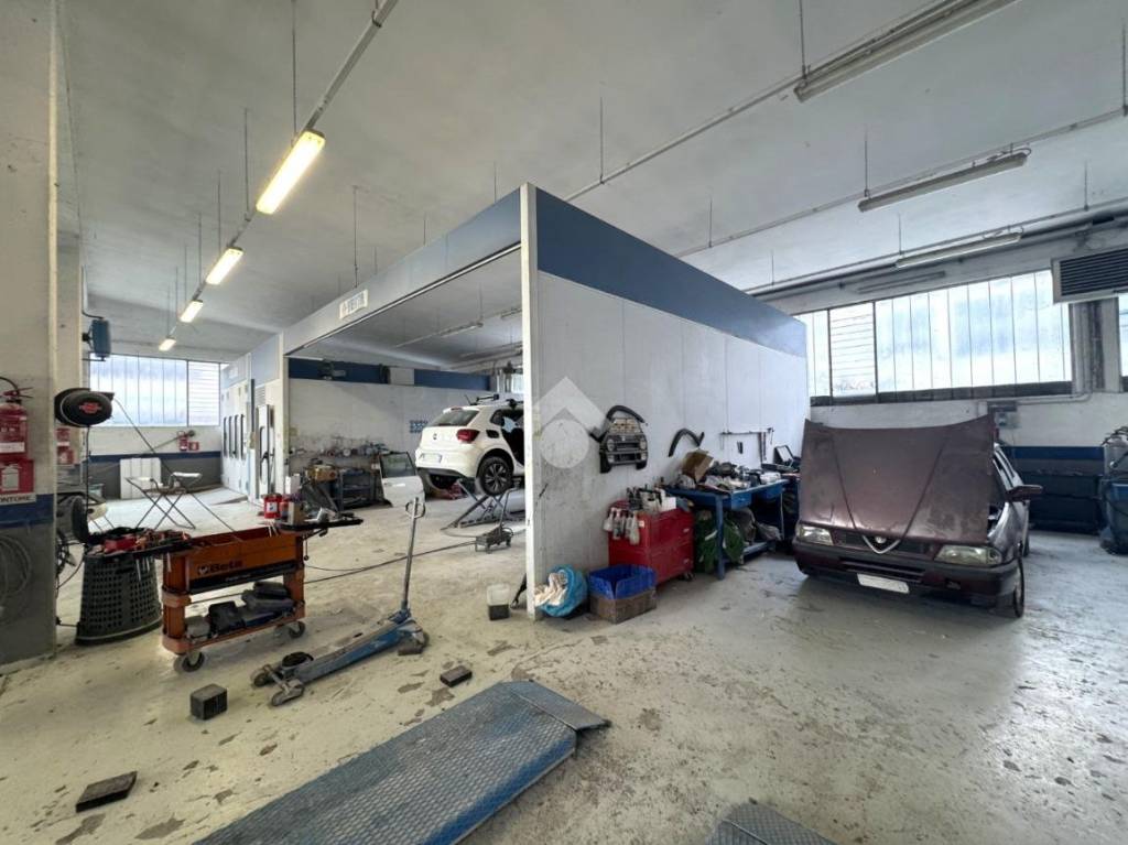 immagine annuncio 3 di 15