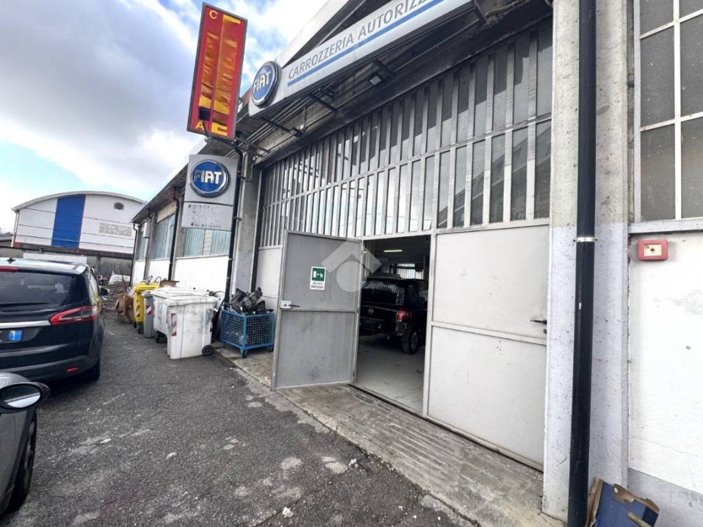 immagine annuncio 10 di 15