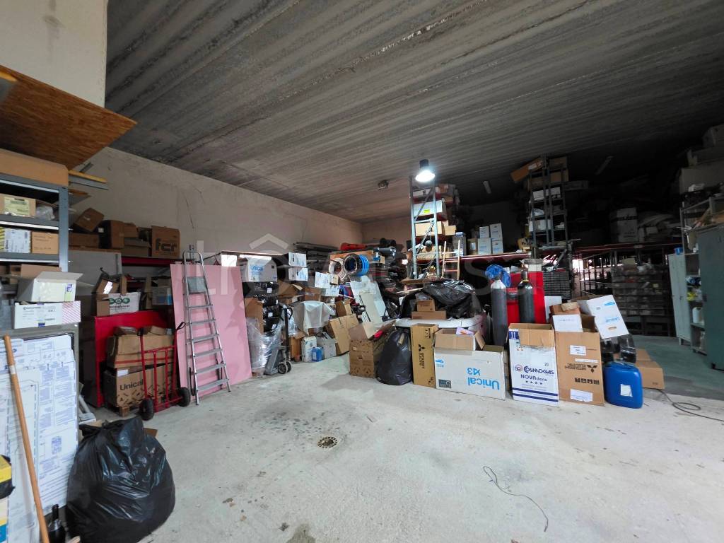 immagine annuncio 9 di 15