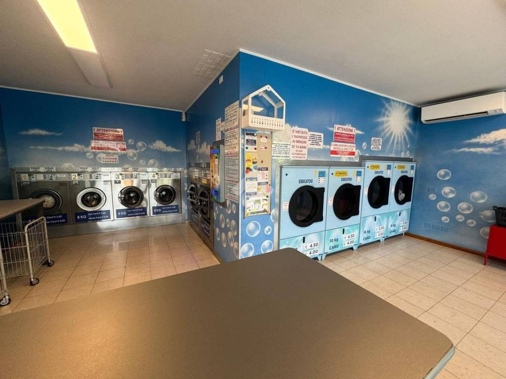 immagine annuncio 2 di 15