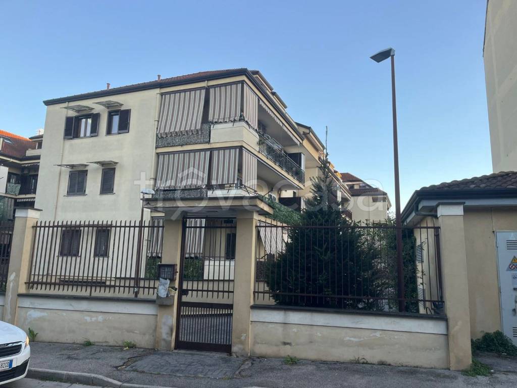 immagine annuncio 1 di 15