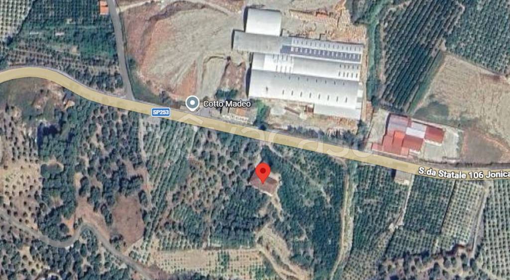 immagine annuncio 6 di 11