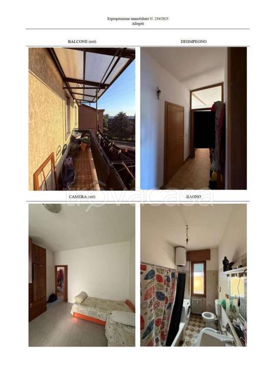 immagine annuncio 5 di 11